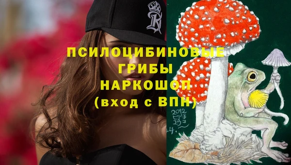 ешки Зерноград