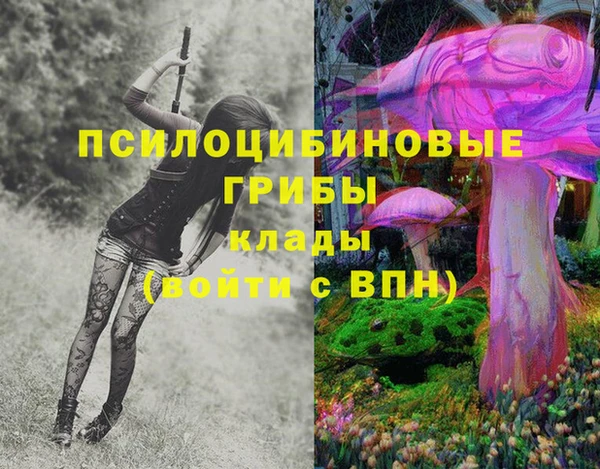 ешки Зерноград