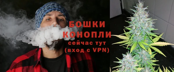 соль ск Александровское